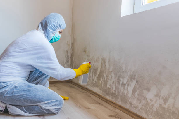 Licensed Mold Testing service in Littlestown, PA - WQB Mold Removal