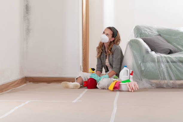 Reliable Mold Testing contractor in Littlestown, PA by WQB Mold Removal